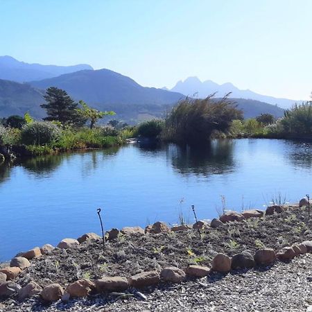 Gecko Cottage At Artemis Franschhoek Εξωτερικό φωτογραφία