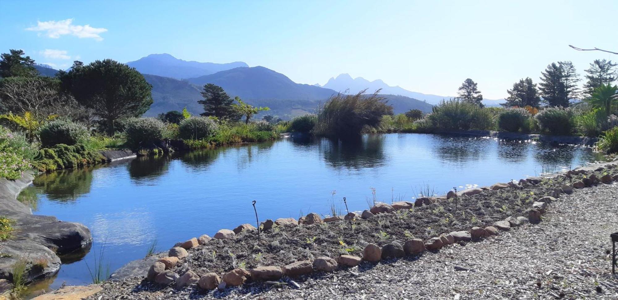 Gecko Cottage At Artemis Franschhoek Εξωτερικό φωτογραφία