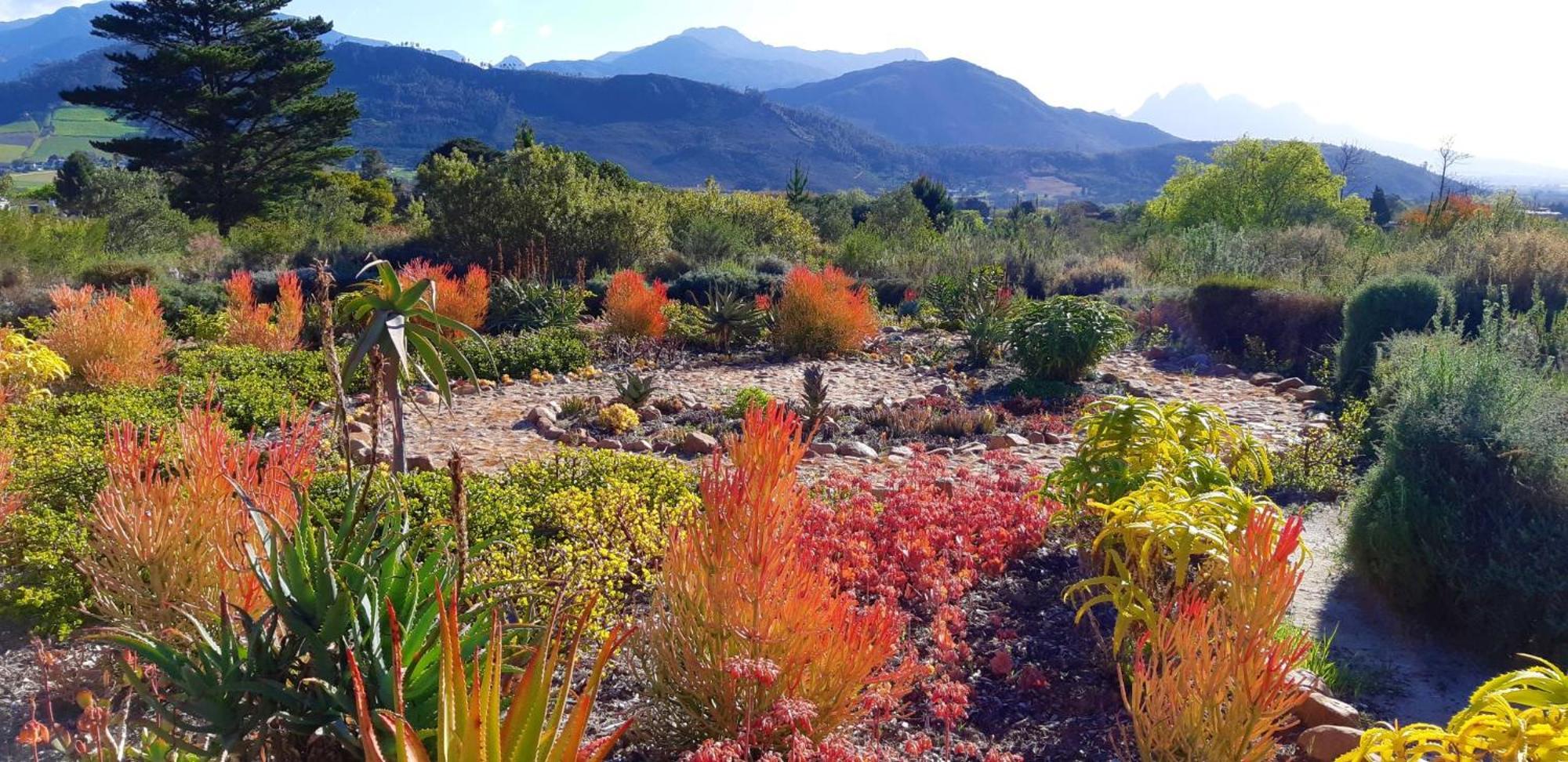 Gecko Cottage At Artemis Franschhoek Εξωτερικό φωτογραφία