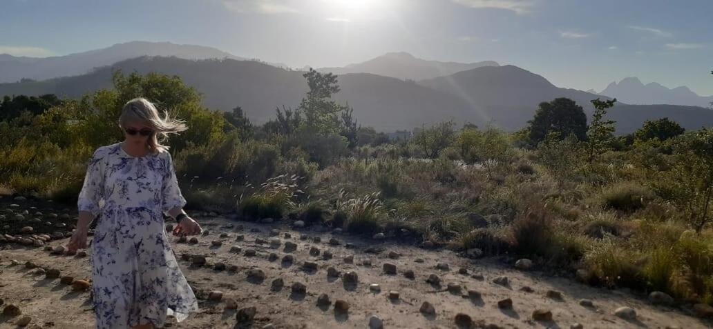 Gecko Cottage At Artemis Franschhoek Εξωτερικό φωτογραφία