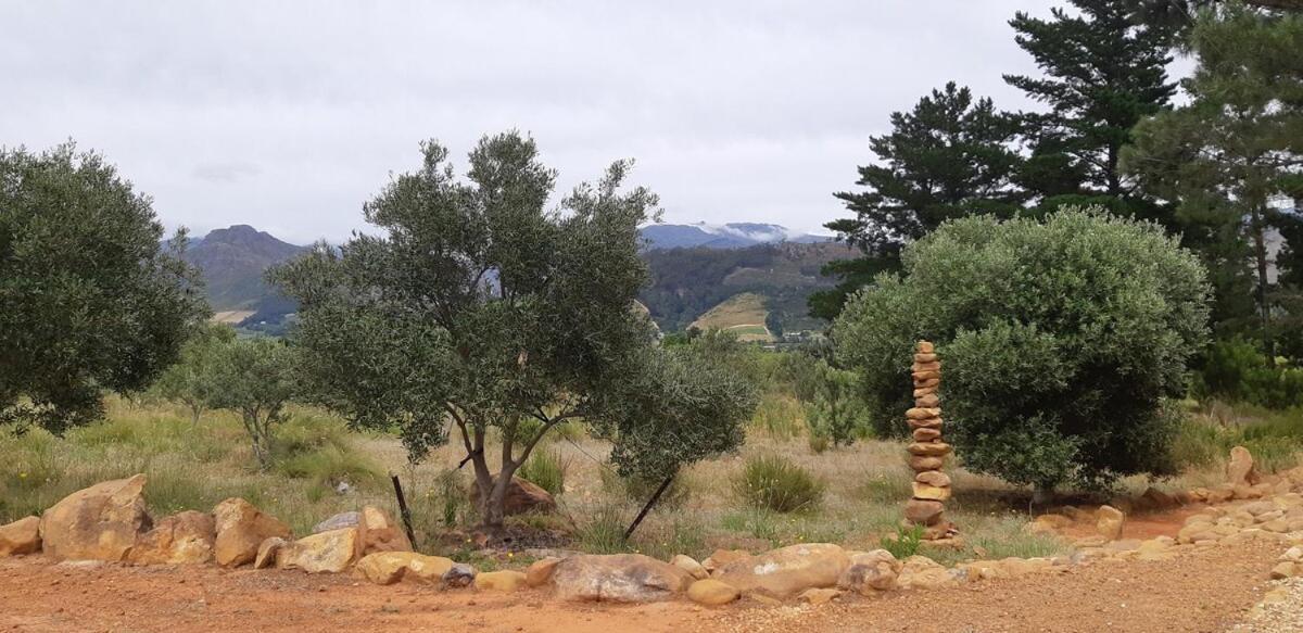 Gecko Cottage At Artemis Franschhoek Εξωτερικό φωτογραφία